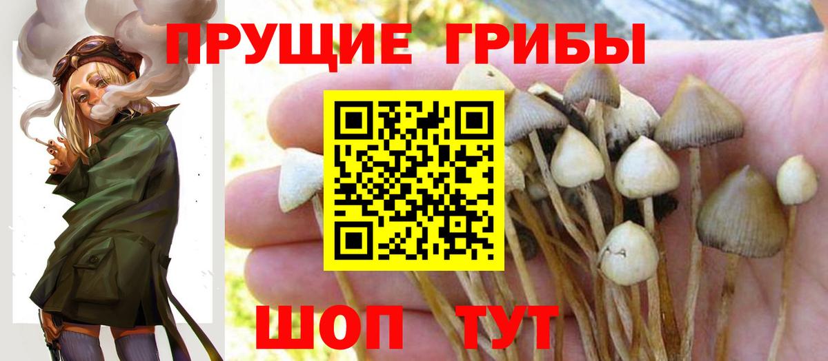 закладки  Псилоцибиновые грибы мицелий  Вход с VPN  Ефремов 